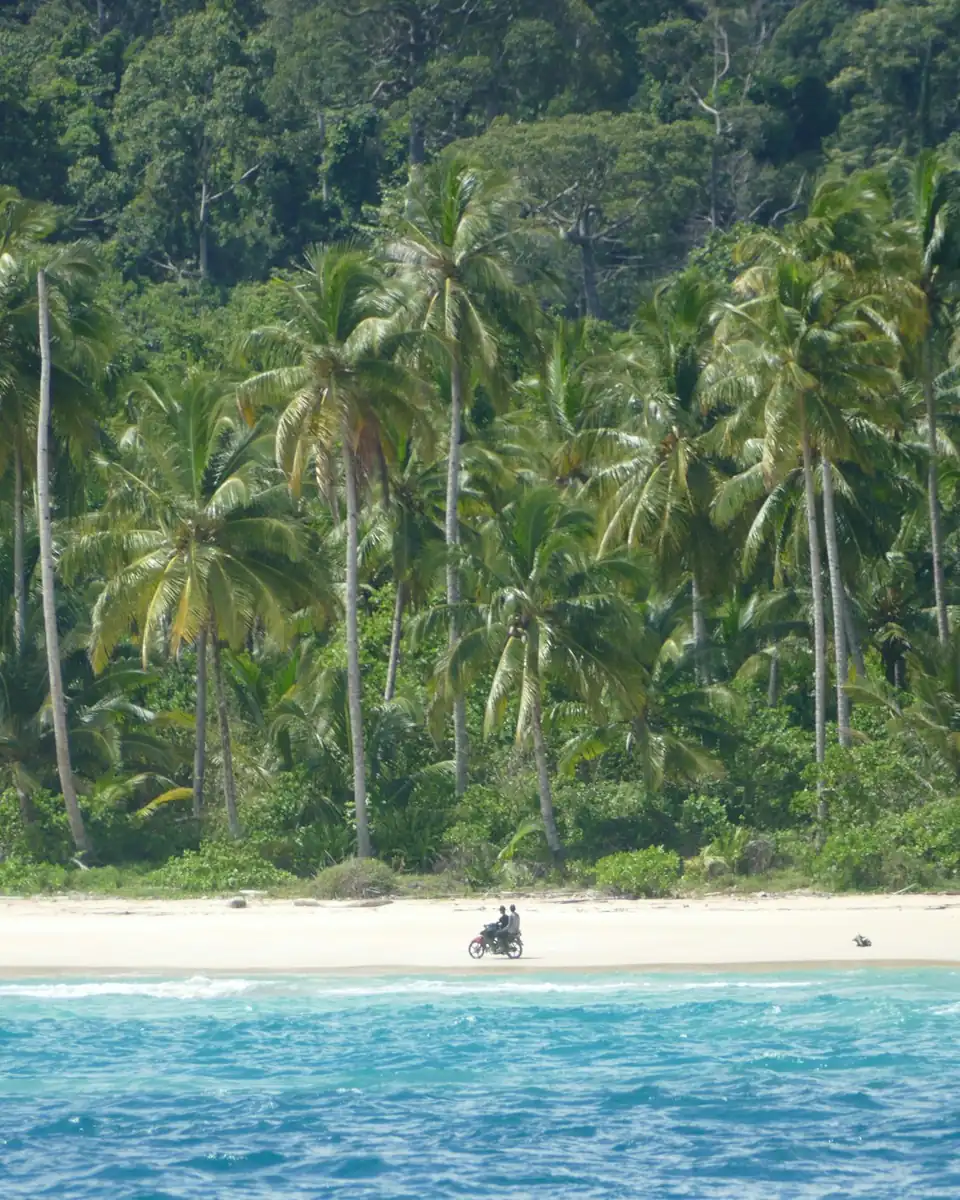 Palm-fringed beach and turquoise water on a Mentawai island