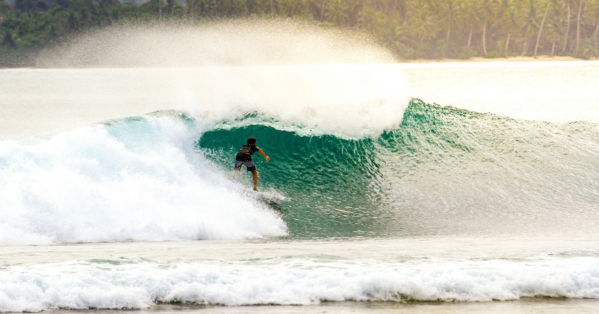 Surfer riding inside a green barrel at a Mentawai reef break, palm-lined shore behind