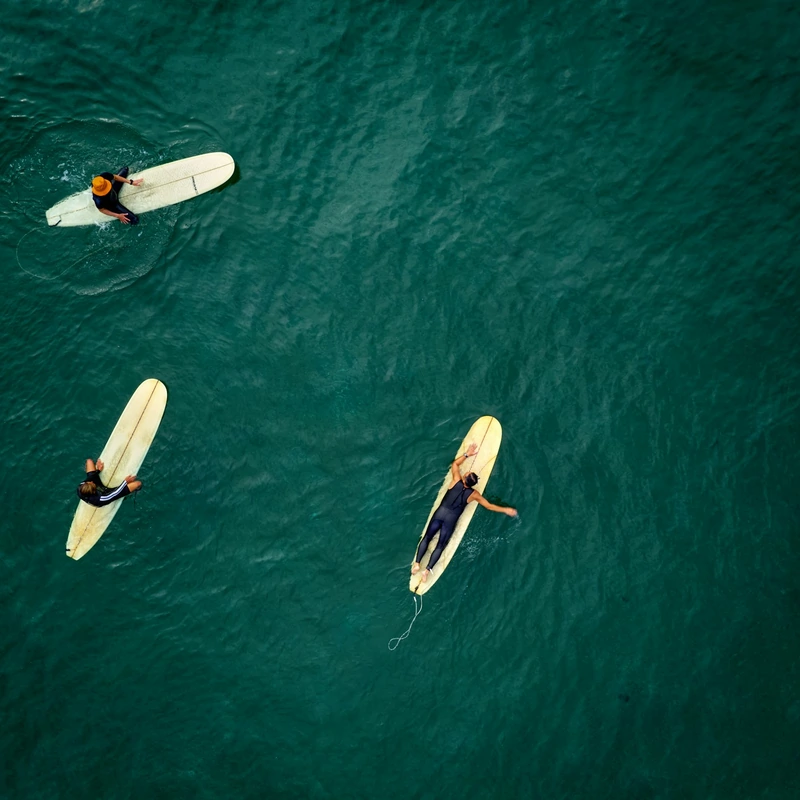 Three surfers on longboards waiting for a wave in calm turquoise water