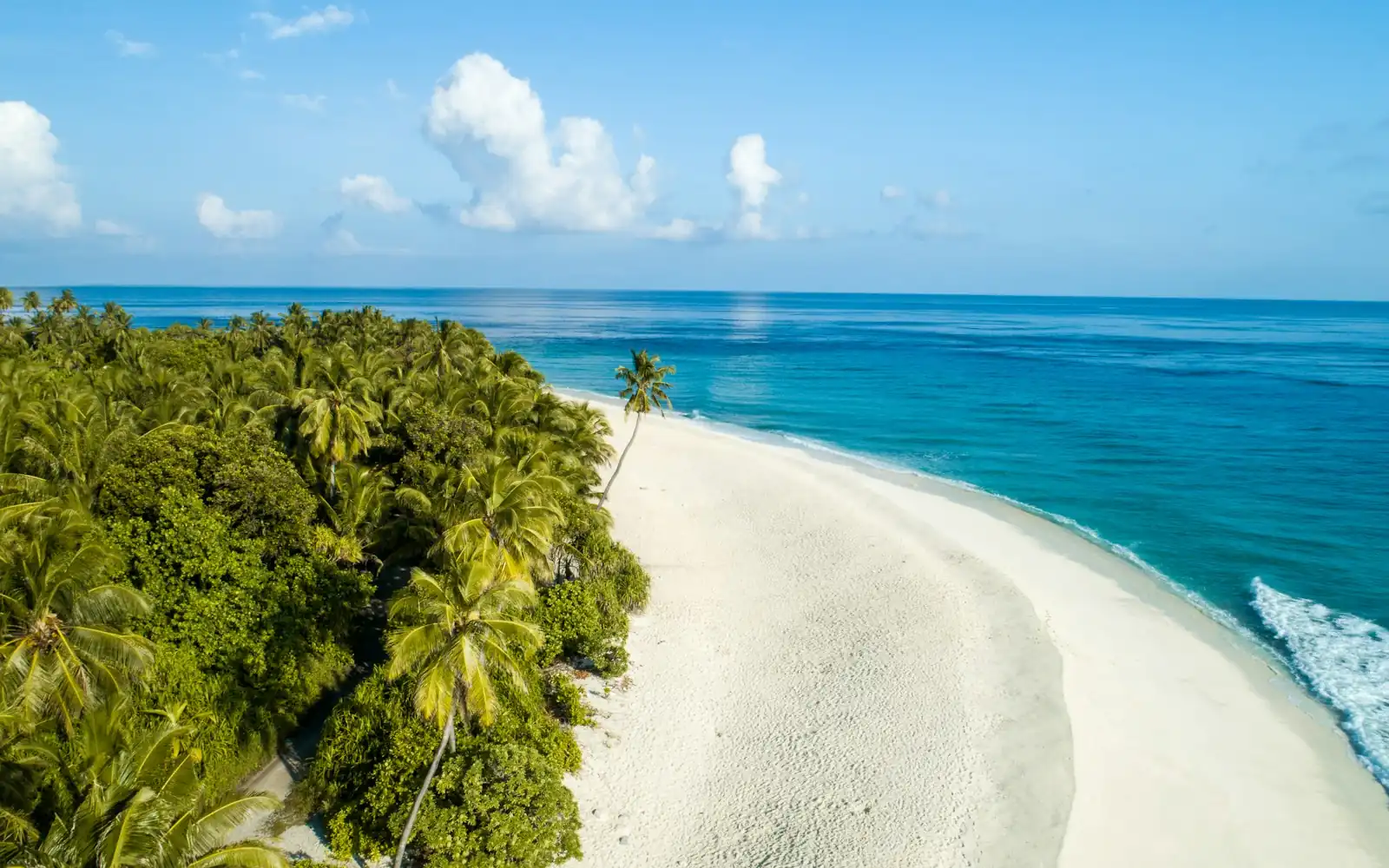 Tropical coastline near Sipura Island, Mentawai