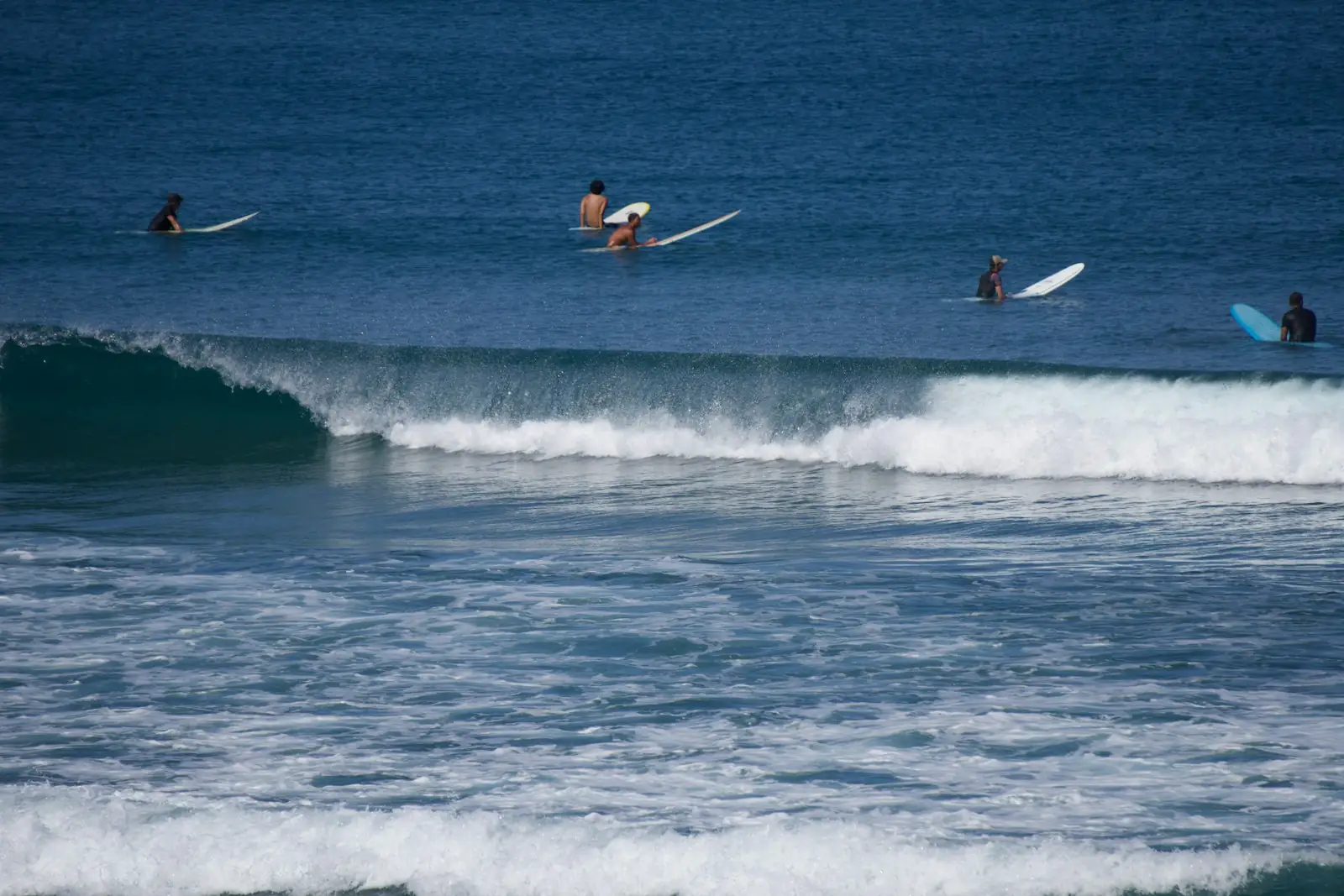 Group of beginner surfers riding gentle waves in Mentawai