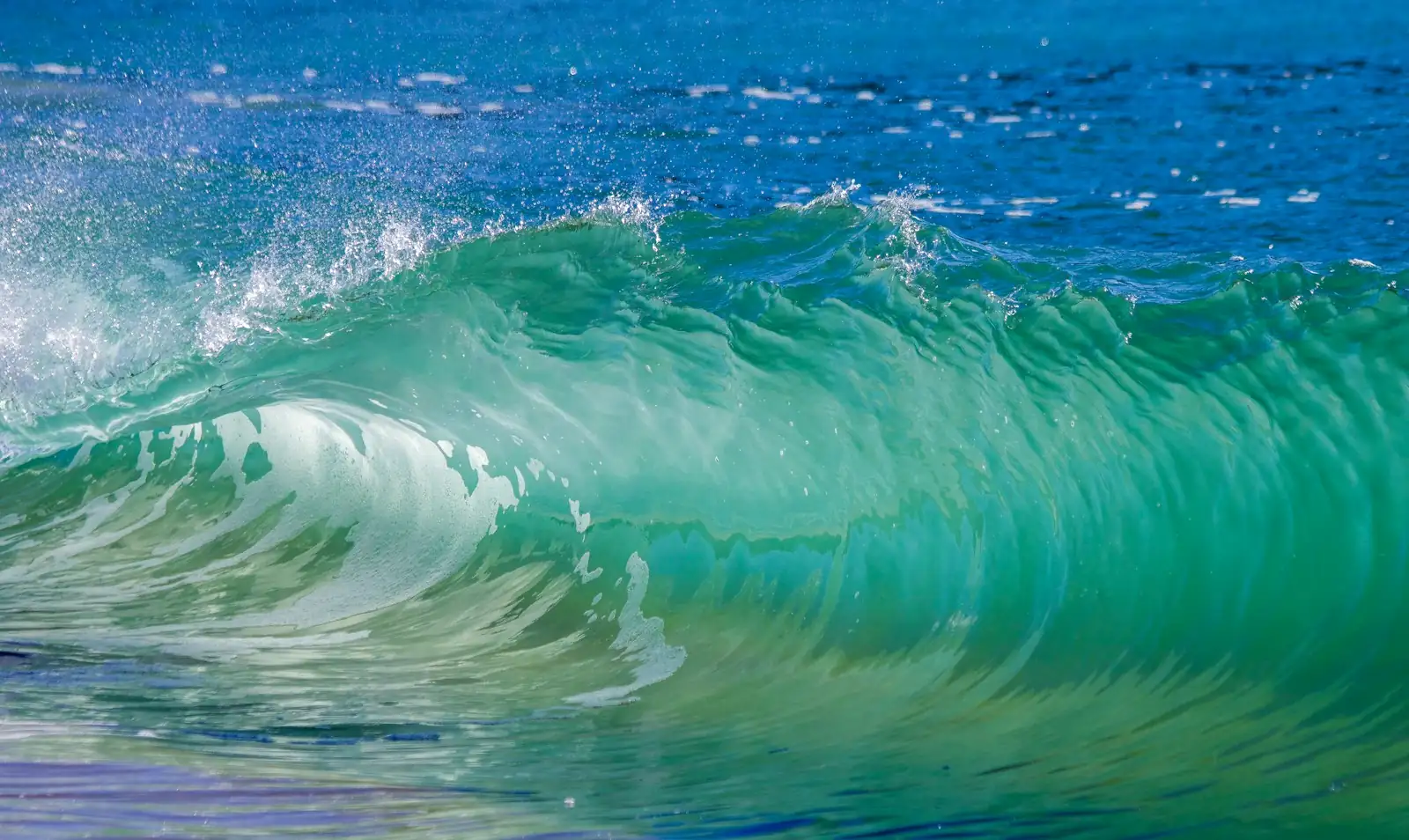 Green barreling wave at Greenbush surf break, Mentawai